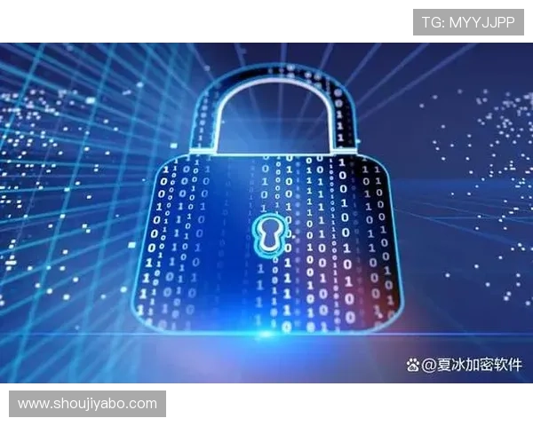 新亚博购彩如何确保资金安全与隐私保护为用户提供最可靠的保障方案