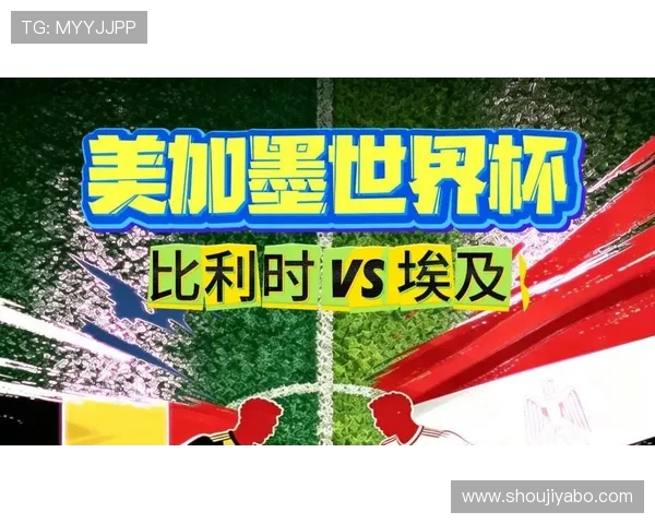 世界杯埃及对比利时比赛回放视频的观看流程与注意事项 世界杯埃及对比利时比赛回放视频的观看流程与注意事项